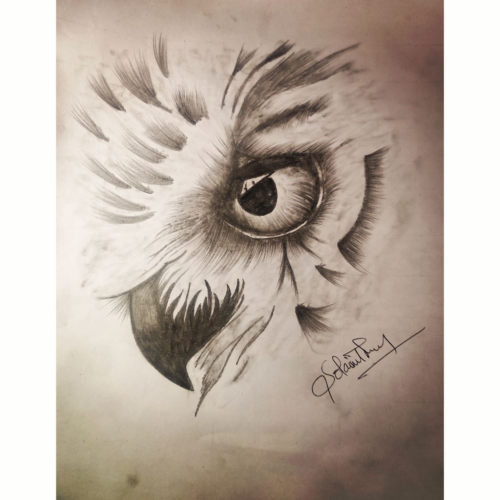 Pencil Sketch - Creative Design