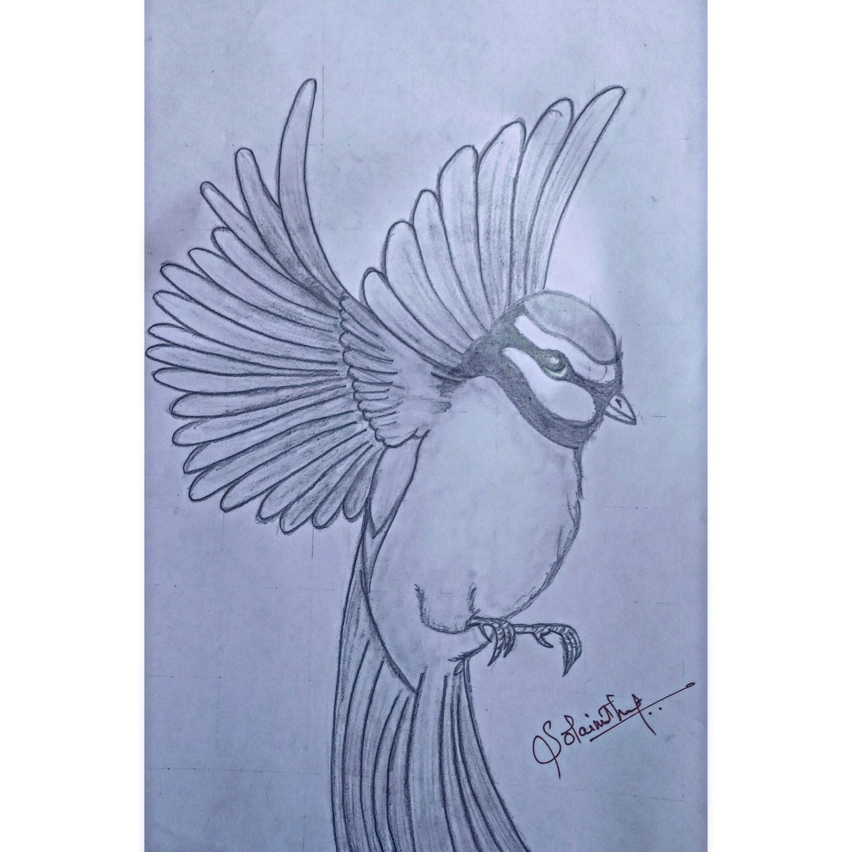 Pencil Sketch - Product Design